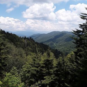 Meet your Posher, Kristy mark